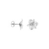 Studs Big Flower Silver
