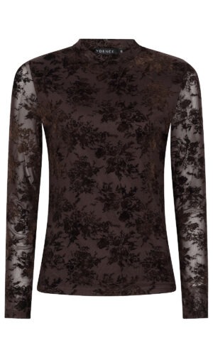 Top Brandy | Brown